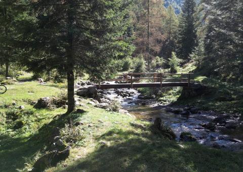 Ponticello di legno 