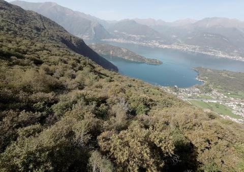 Veduta aerea del laghetto di Piona 